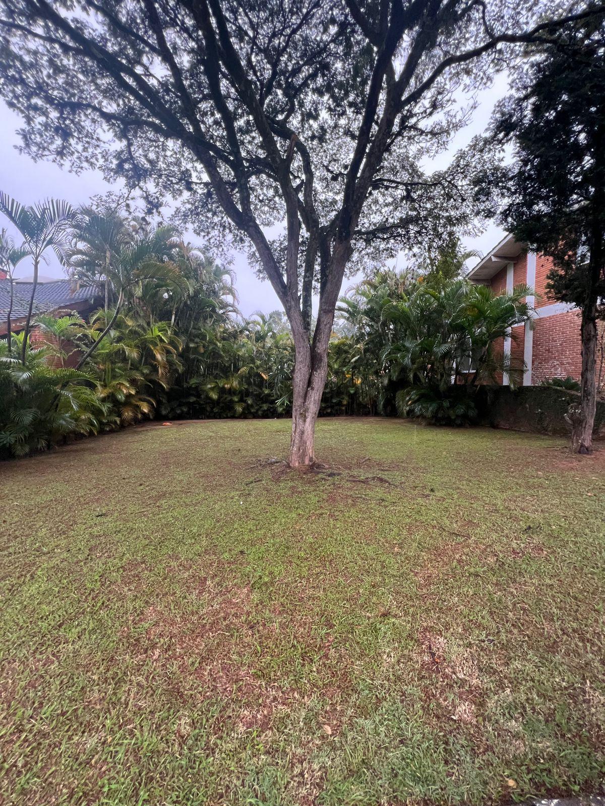 Cozinha e área gourmet terreno à venda em Alphaville Residencial 5, Alphaville, Santana de Parnaíba — 439 m² — imagem 3 de 3